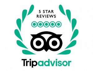 Trip Advisor